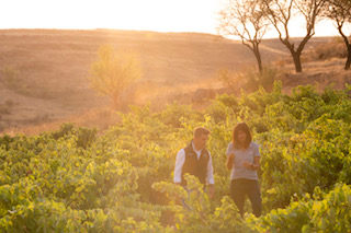 Milsetentayseis presenta su proyecto de interpretación de la Ribera del Duero