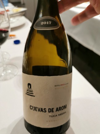 Cuevas de Arom Tuca Negra 2017