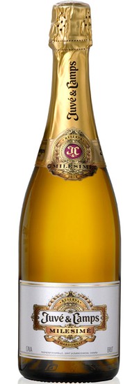 Juvé & Camps Milesimé Reserva 2016