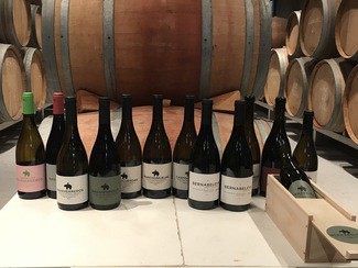 La vez que visité la bodega Bernabeleva