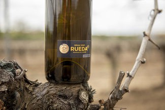 El gran vino de Rueda: La apuesta de la D.O. Rueda para 2021 El gran vino de Rueda: La apuesta de la D.O. Rueda para 2021