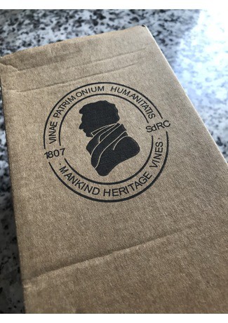 Finca La Melonera y la Encina del Inglés