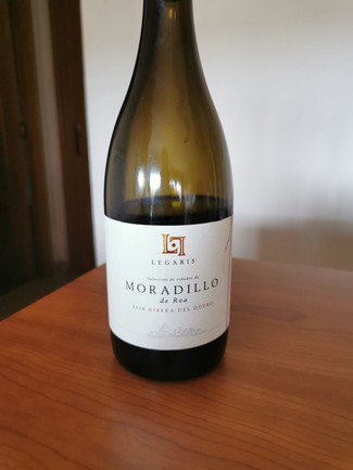 Legaris Moradillo de Roa 2016