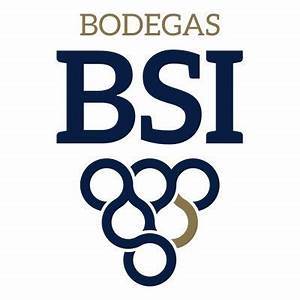 Logo BSI