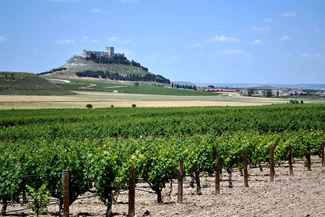 Ribera del Duero lanza 'Somos espíritu Ribera’, la campaña que con la que da voz a los héroes de la Ribera