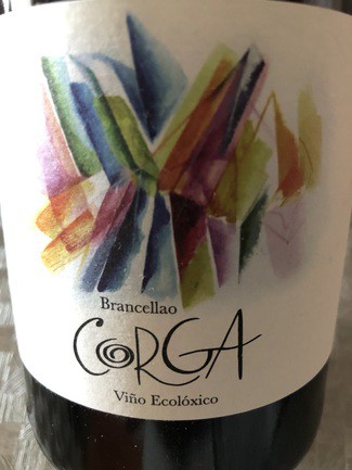 Corga brancellao 2019