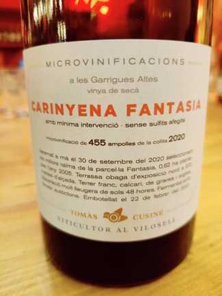 Carinyena Fantasia 2020