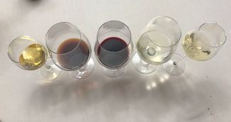 los vinos