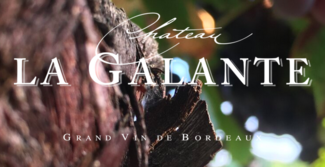 Logo Chateau La Galante