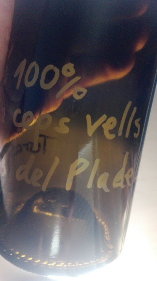 Vi jove de ceps vells 2020