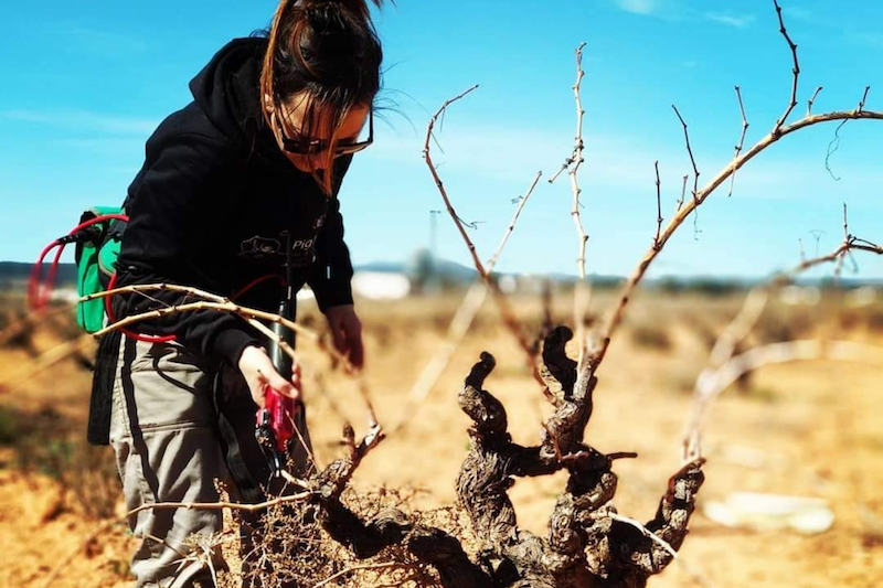 I Jornadas sobre Microbodegas: bodegas artesanales, transformación agroecológica y rejuvenecimiento del sector