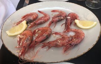 gamba roja