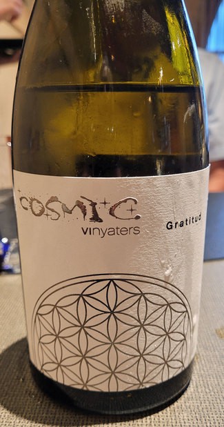 Cosmic Vinyaters Gratitud 2019