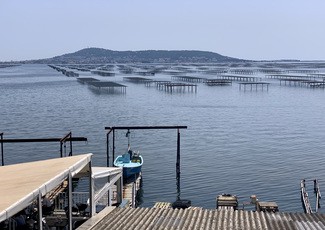 Restaurante La Table de Thau en Bouzigues