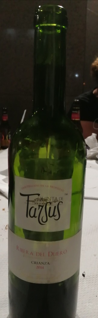 Quinta de Tarsus 2014