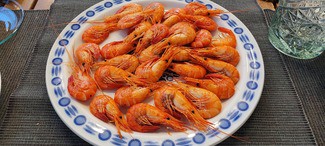 Camarones