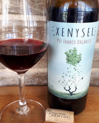 Xenysel pie franco orgánico 2019