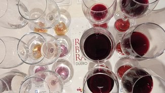 Ribera Contigo: Cata del Consejor Regulador Ribera del Duero en la Experiencia Málaga