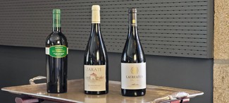 Presentacion de vinos