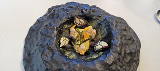 Percebe y codium (golpe de mar)