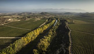 Defensa sin paliativos a la unicidad y fondo de comercio de la doca rioja