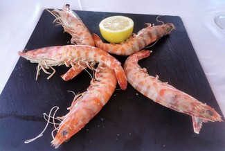 Los langostinos de Vinaroz