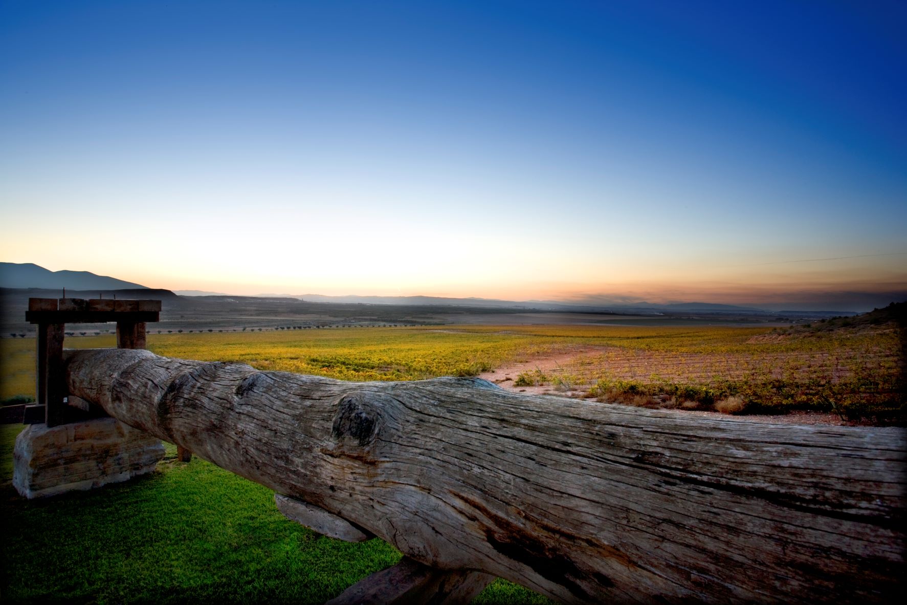 La D.O. Navarra triunfa en Mundus Vini