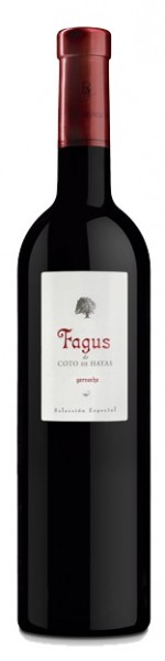 Fagus 2017