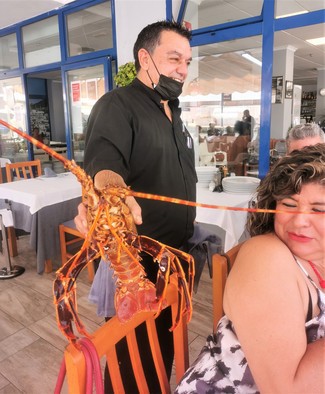 La langosta viva ):