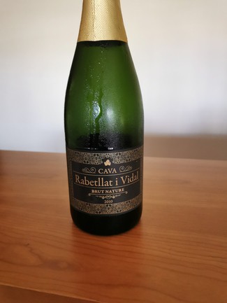 Rabetllat i Vidal ed. e Jaume Vidal 2010