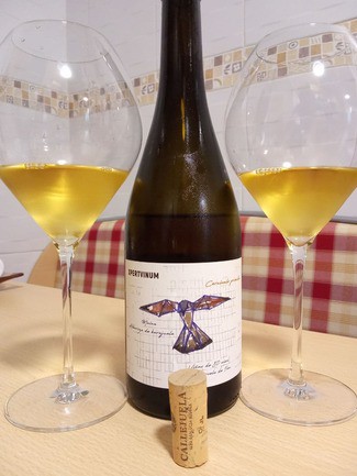 Xpertvinum Maína 2019