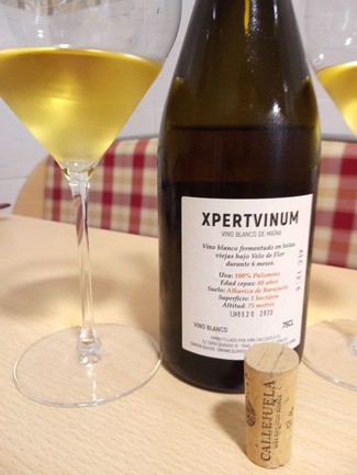 Xpertvinum Vino Blanco de Maína 2019