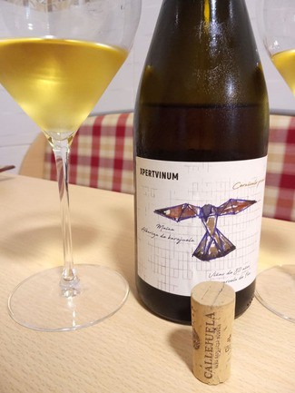 Xpertvinum Vino Blanco de Maína 2019