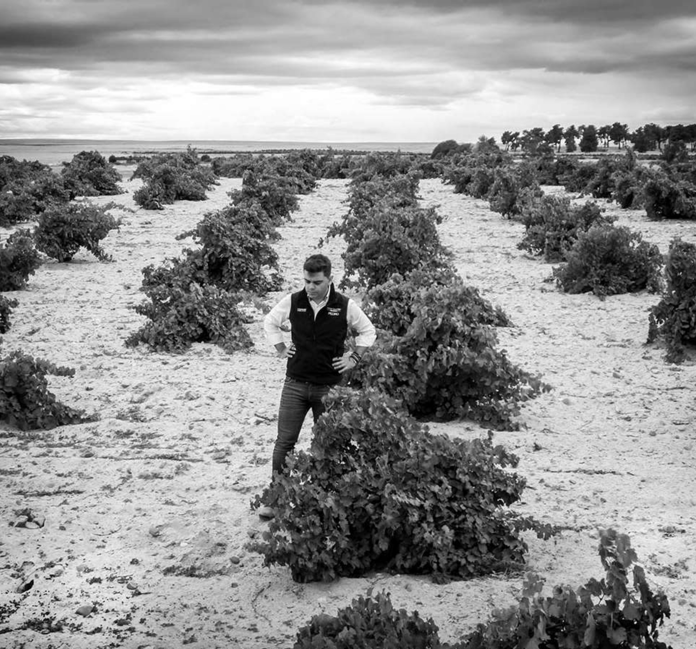 Alma Carraovejas III: Ossian Vides y Vinos