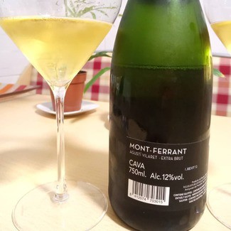 Mont Ferran Agustí Vilaret 2008, DO Cava