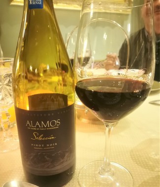 Álamos Selección Pinot Noir 2019