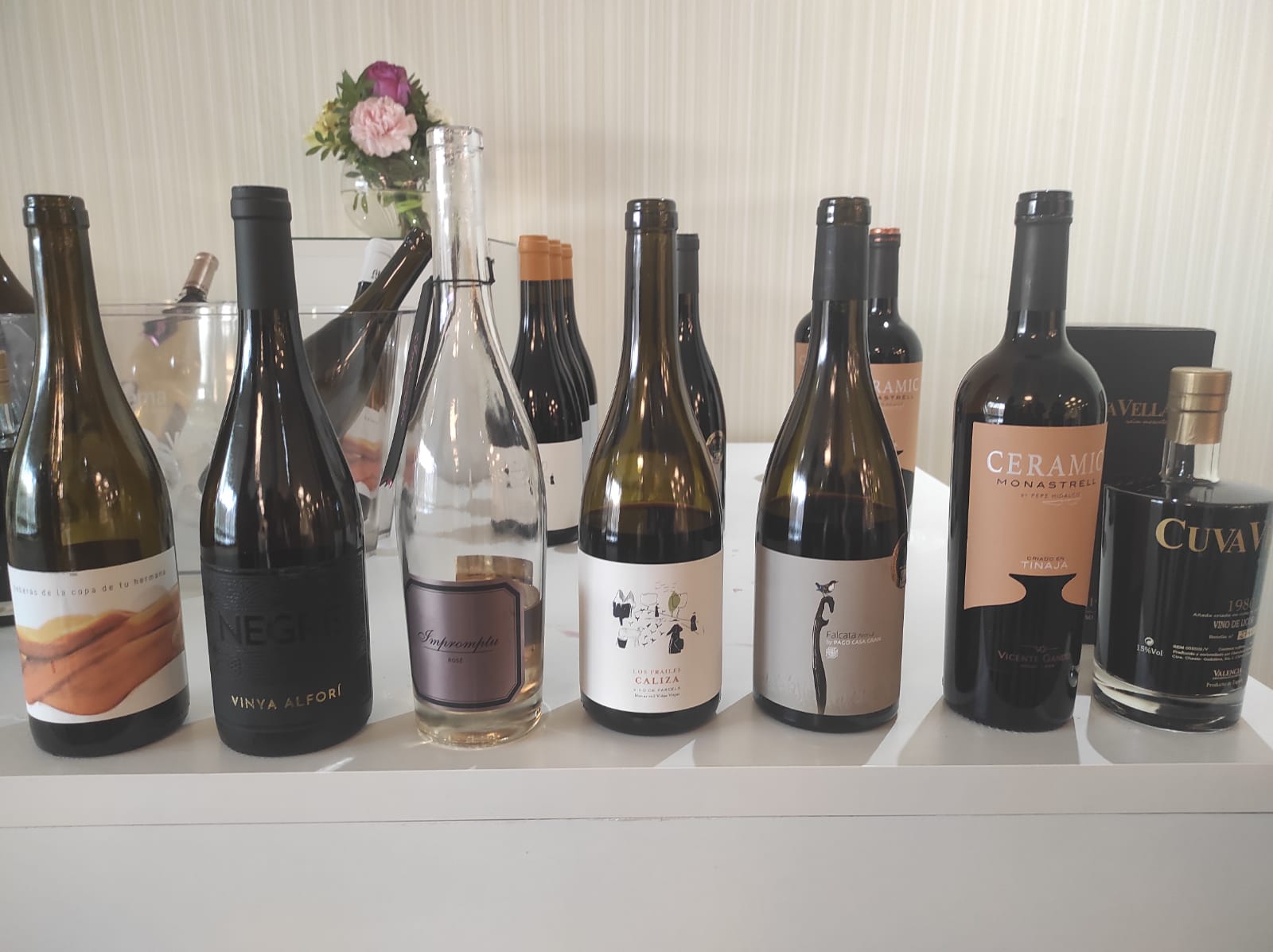 Gran acogida de los vinos de la DO Valencia en Bilbao