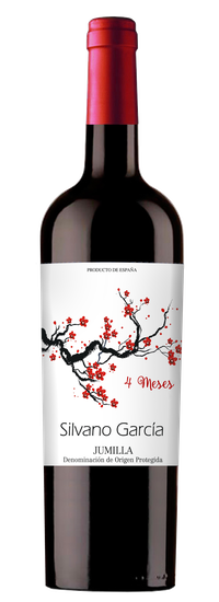 Silvano García 4 meses 2019