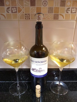 Pazo Señorans Selección de Añada 2011, DO Rías Baixas