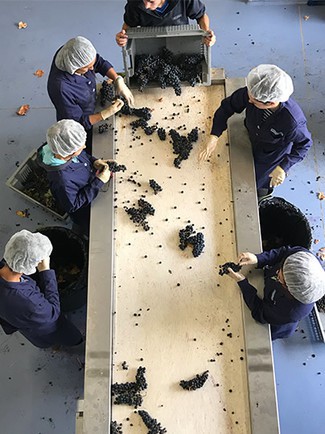 2 0 2 ,  un nuevo viaje en RIOJA