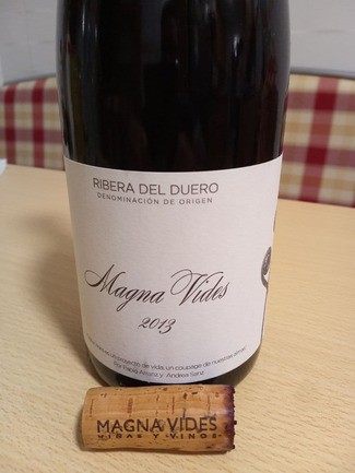 Magna Vides 2013, DO Ribera del Duero