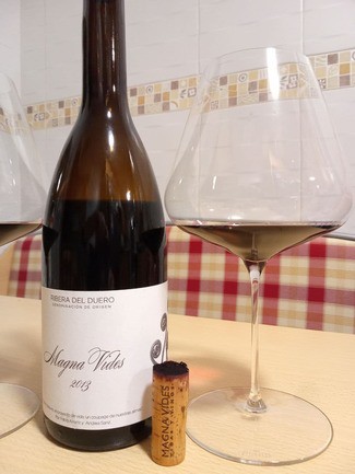Magna Vides 2013, DO Ribera del Duero