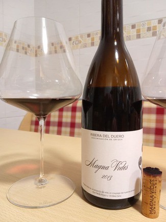 Magna Vides 2013, DO Ribera del Duero
