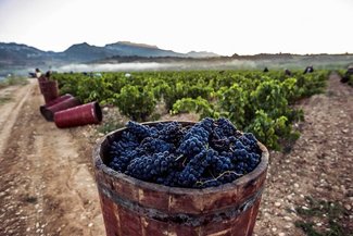 Rioja materializa su apuesta por la ‘sostenibilidad inteligente’