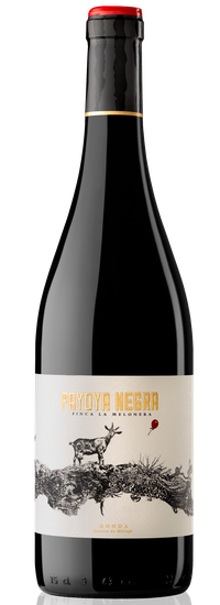 Payoya Negra 2018