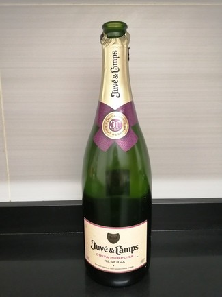 Juvé & Camps Cinta Púrpura Reserva