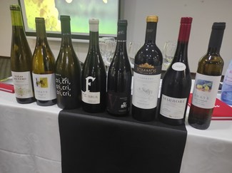 Somontano, el cielo en la tierra