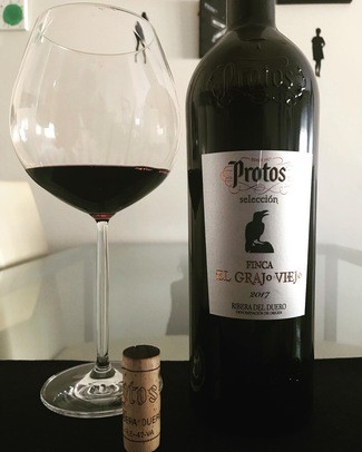 Protos Selección Finca El Grajo Viejo 2017