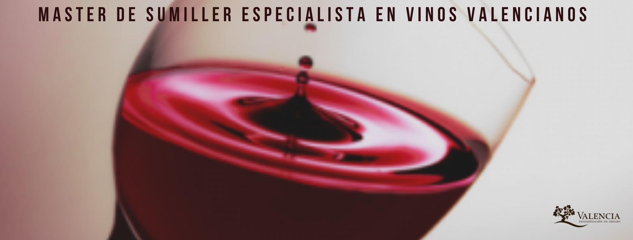 Abierta la inscripción del Máster de Sumiller Especialista en Vinos Valencianos