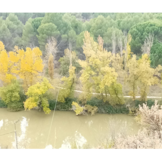 Entorno Bodegas Piedras de San Pedro